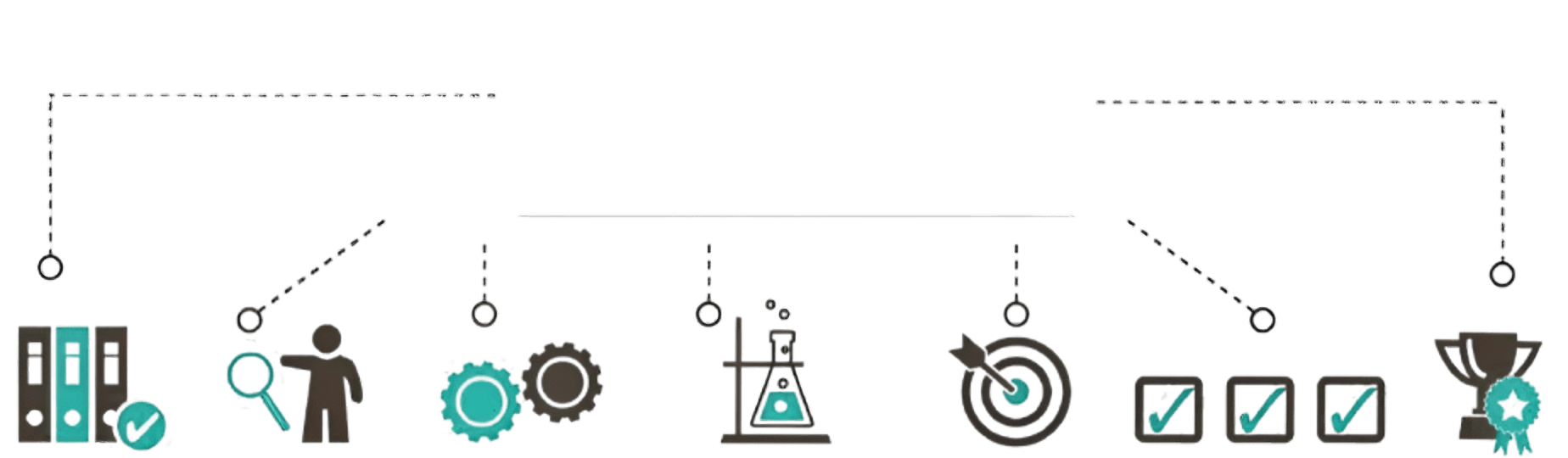 section image